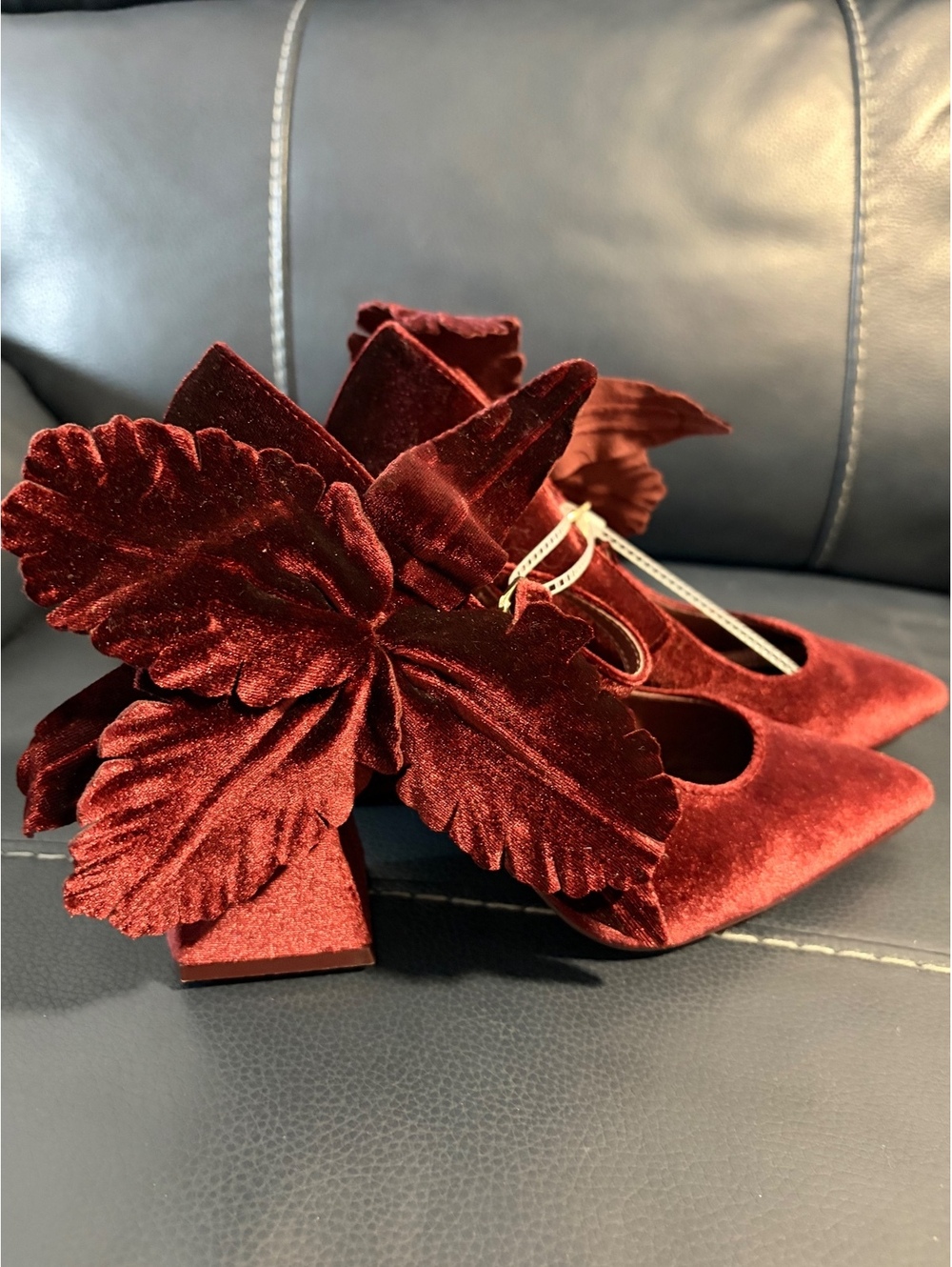 NWT Cecelia Burgundy Velvet Block Heel Pumps with Decorative Leaf Detail, Size